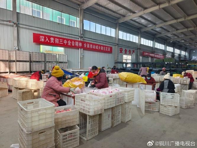 春节前农副产品销售迎来高峰 农民忙并快乐着